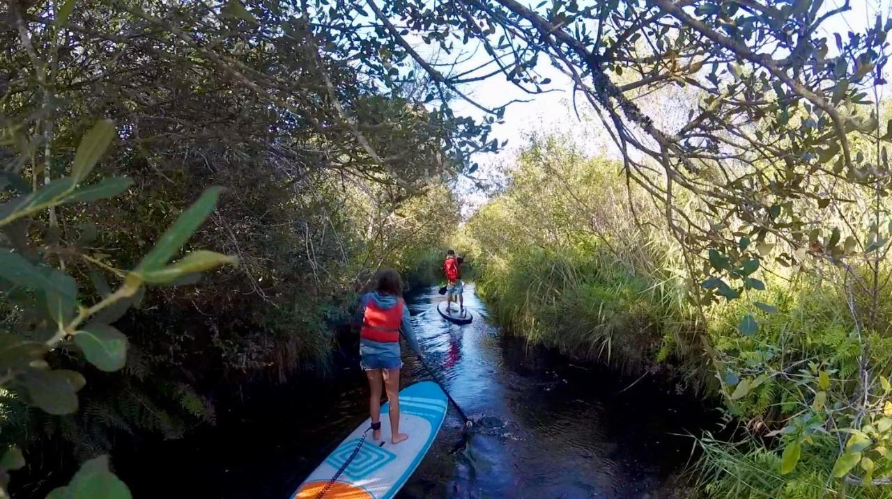 Hoya Surf Camp - Activités + logements Biscarrosse Kültér fotó